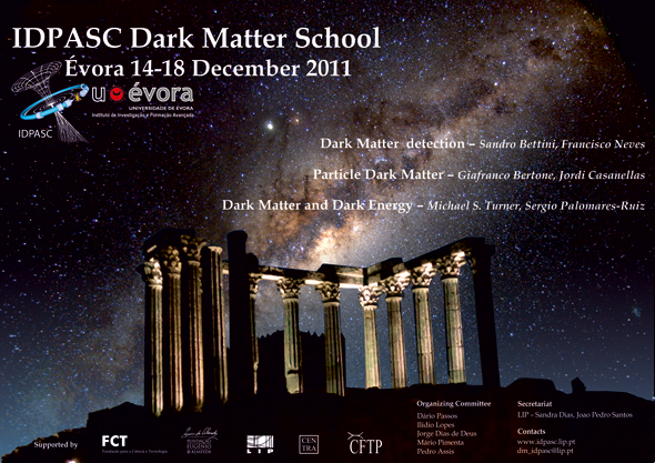 Dark matter 2011